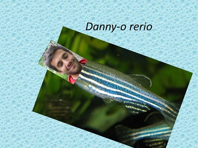 Funny picture of a fish with the face of a lab member