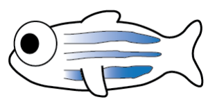 Cartoon zebrafish icon